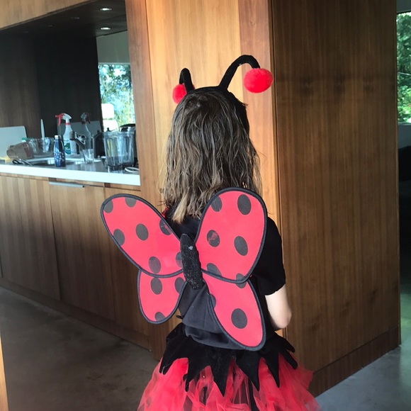 Ladybug Costume-Headband not included - Picture 3 of 4